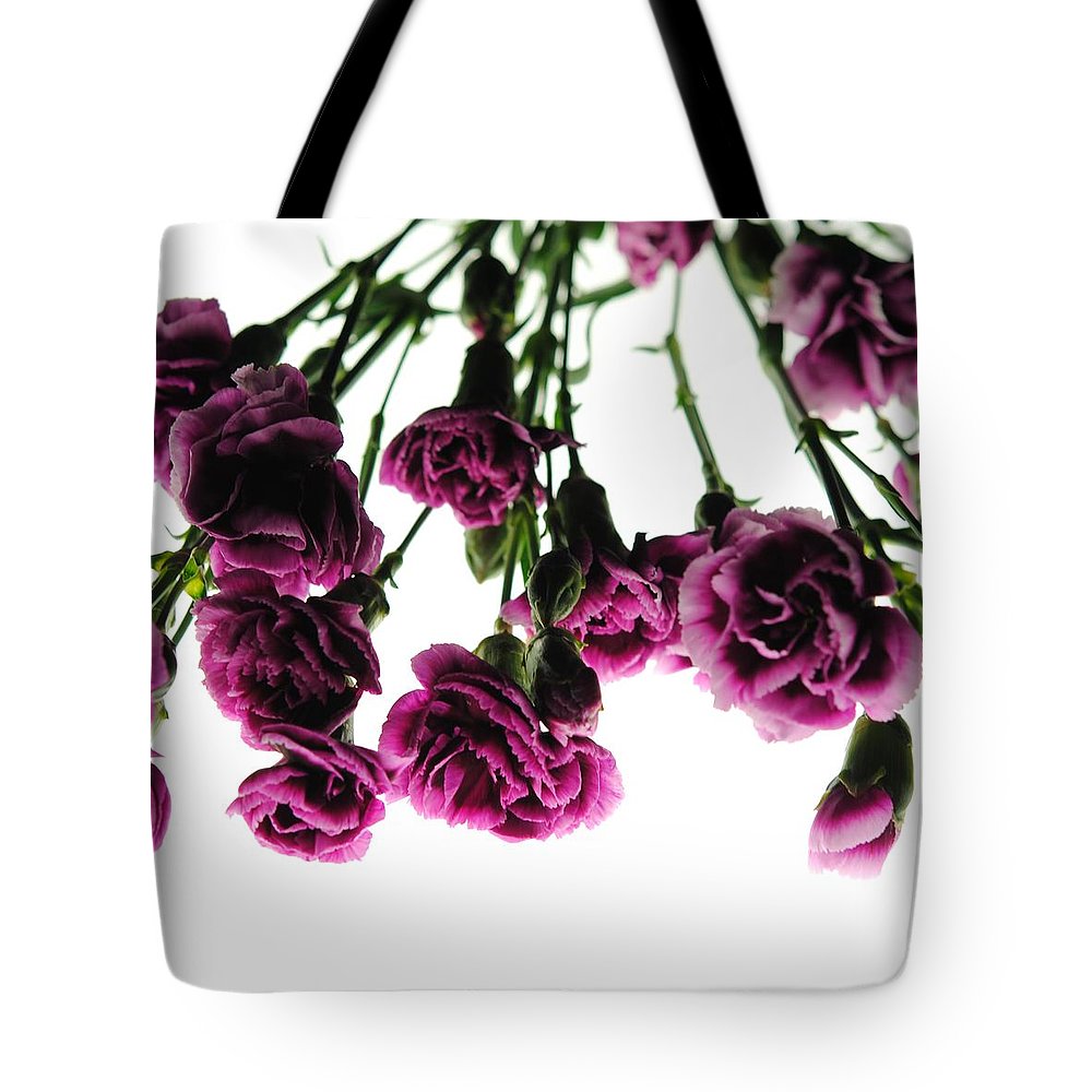 Pink Carnations on White - Tote Bag