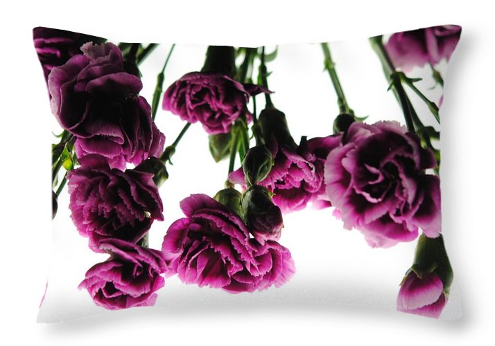 Pink Carnations on White - Throw Pillow