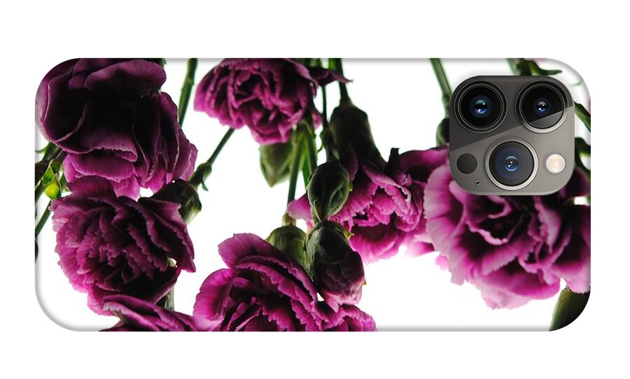 Pink Carnations on White - Phone Case
