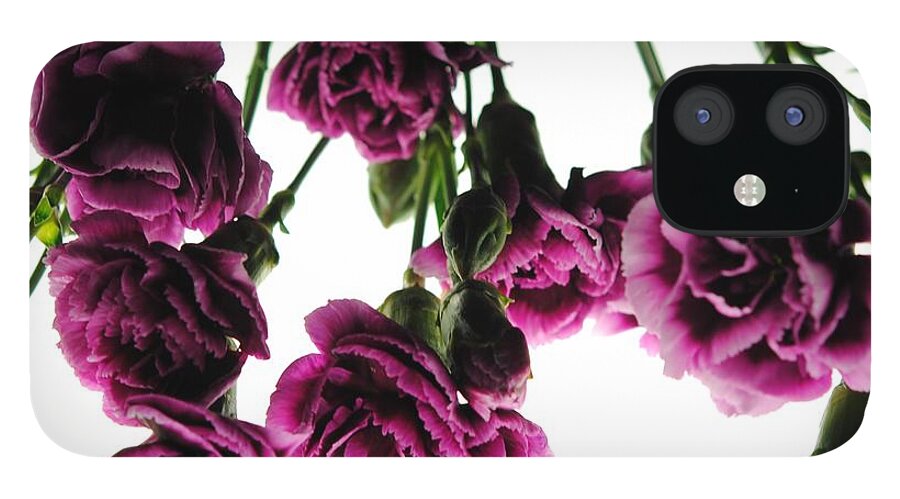 Pink Carnations on White - Phone Case