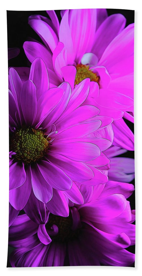 Pink Daisies - Beach Towel