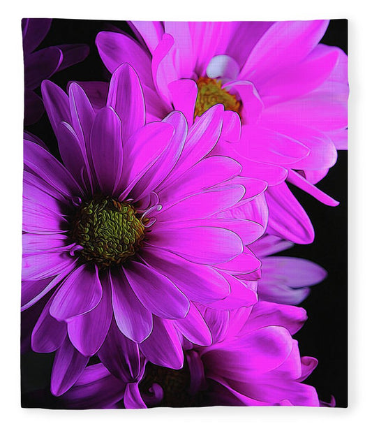 Pink Daisies - Blanket