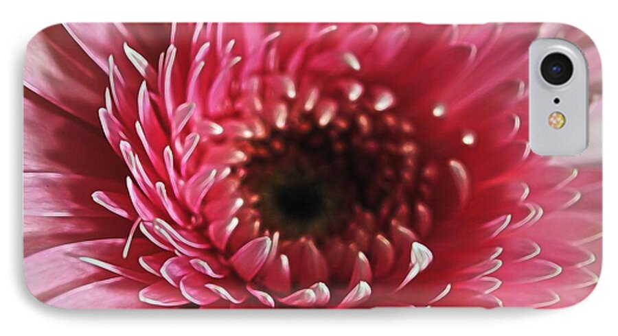 Pink Daisy Close Up - Phone Case