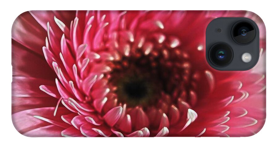 Pink Daisy Close Up - Phone Case