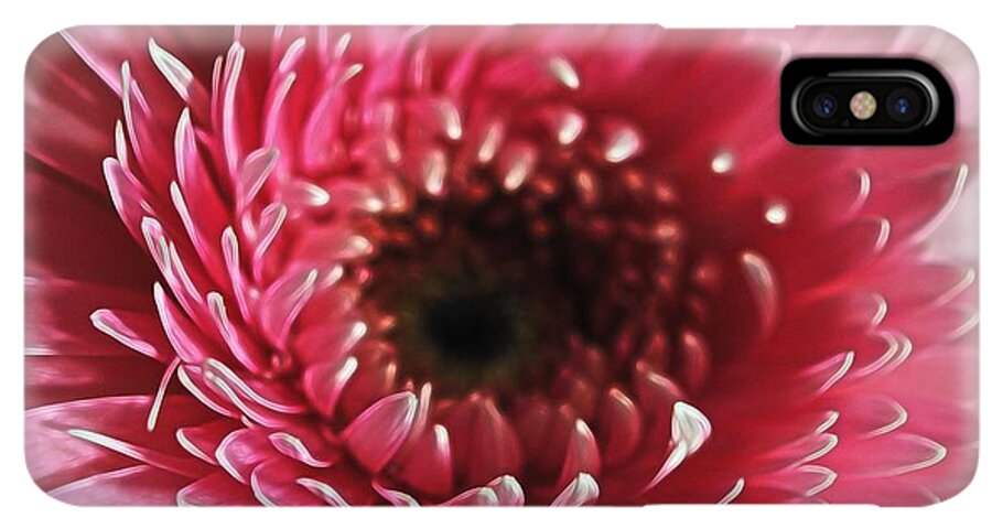 Pink Daisy Close Up - Phone Case