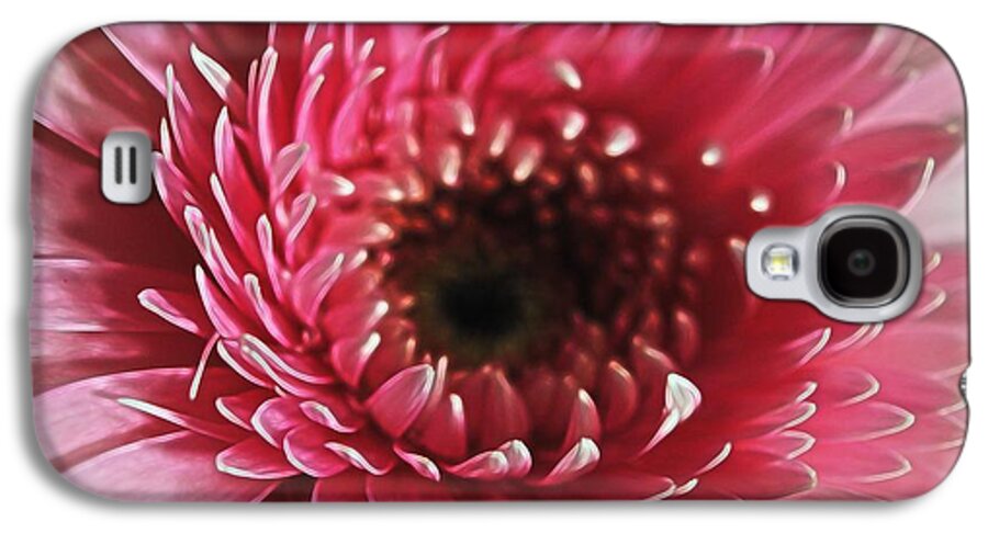 Pink Daisy Close Up - Phone Case