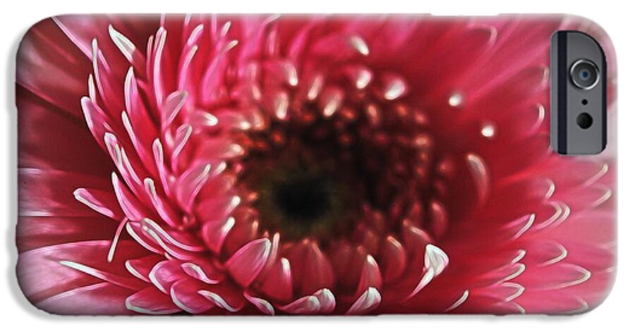 Pink Daisy Close Up - Phone Case