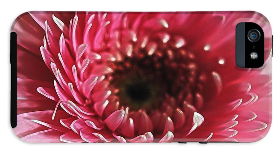 Pink Daisy Close Up - Phone Case