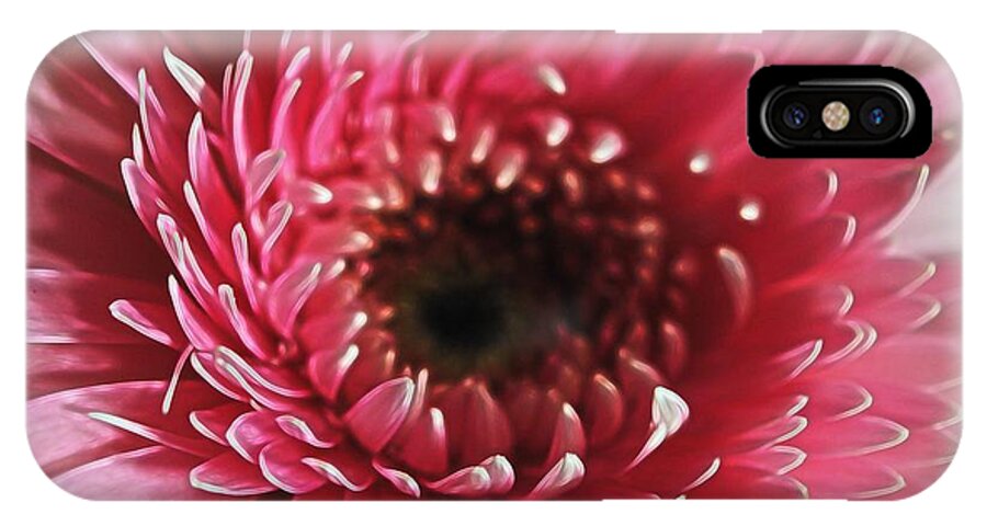 Pink Daisy Close Up - Phone Case