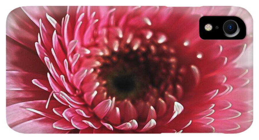 Pink Daisy Close Up - Phone Case