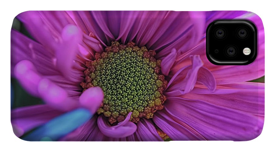 Pink Daisy Flower - Phone Case