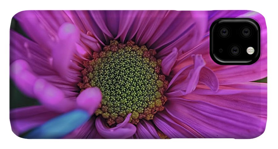 Pink Daisy Flower - Phone Case