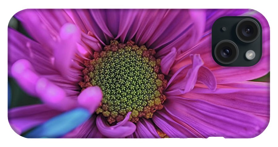 Pink Daisy Flower - Phone Case