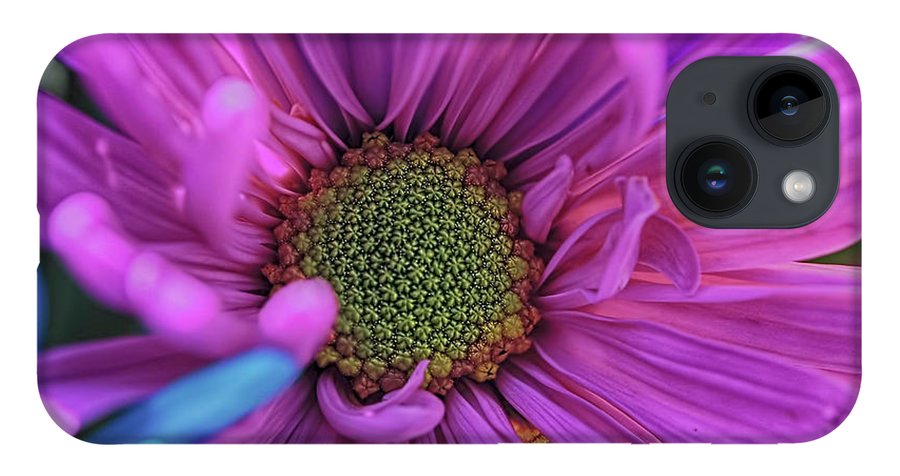 Pink Daisy Flower - Phone Case