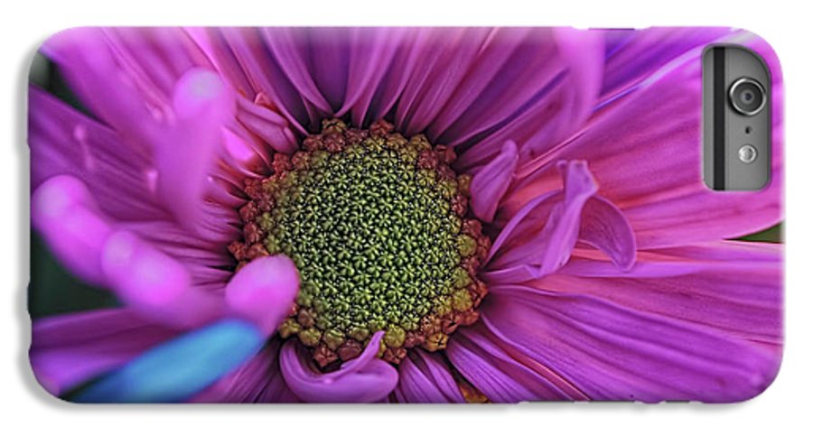 Pink Daisy Flower - Phone Case