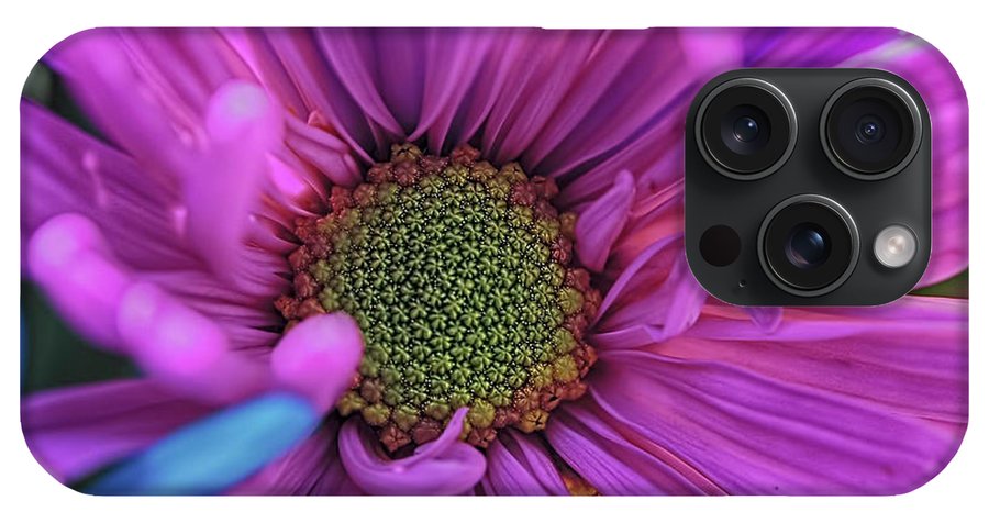 Pink Daisy Flower - Phone Case