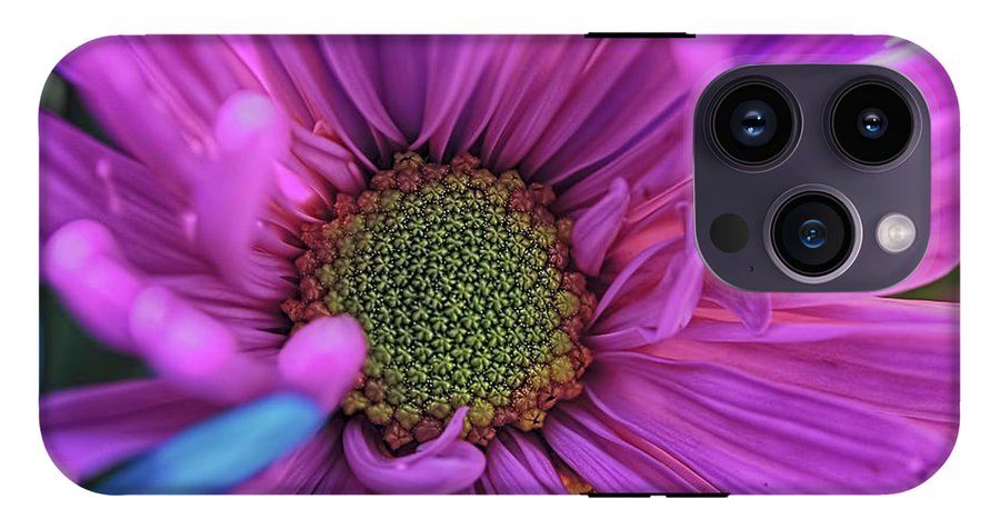 Pink Daisy Flower - Phone Case
