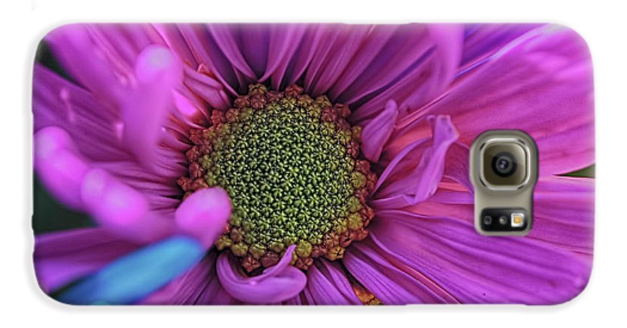 Pink Daisy Flower - Phone Case