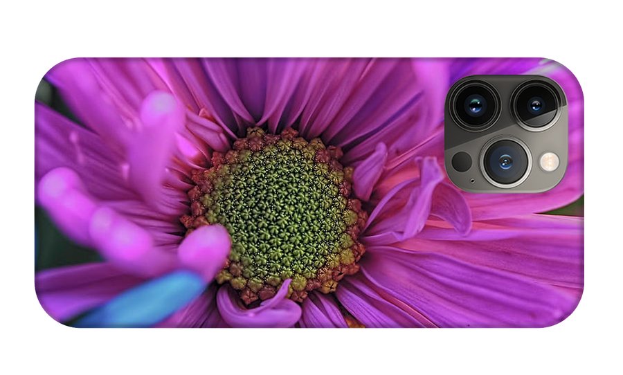 Pink Daisy Flower - Phone Case