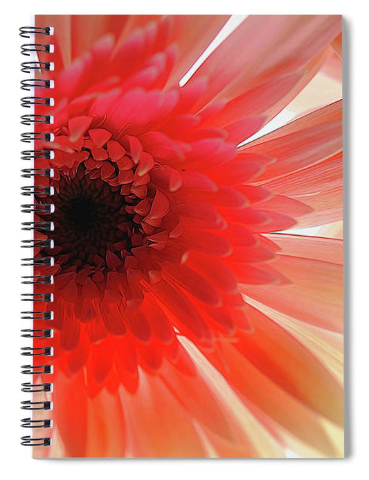 Pink Daisy On Light - Spiral Notebook