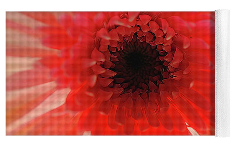 Pink Daisy On Light - Yoga Mat