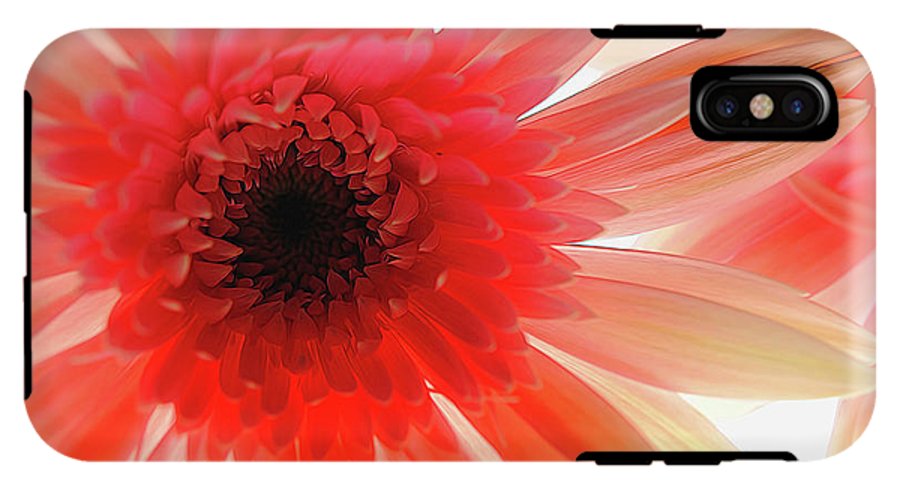 Pink Daisy On Light - Phone Case
