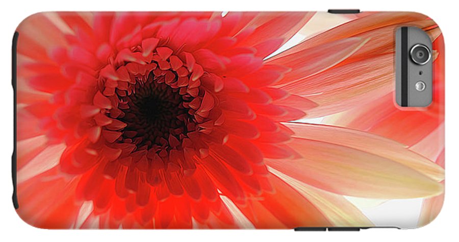 Pink Daisy On Light - Phone Case