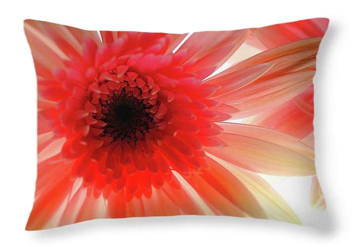 Pink Daisy On Light - Throw Pillow