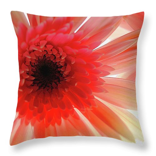 Pink Daisy On Light - Throw Pillow