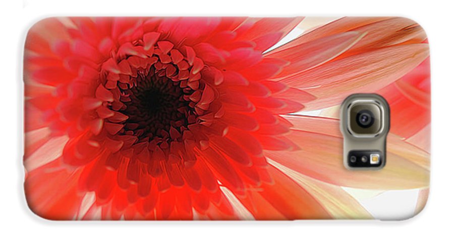 Pink Daisy On Light - Phone Case