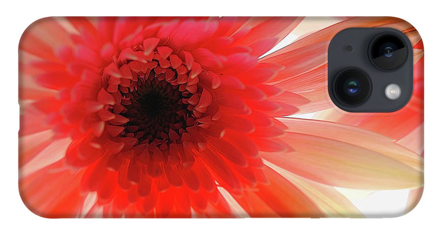 Pink Daisy On Light - Phone Case