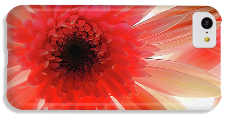 Pink Daisy On Light - Phone Case