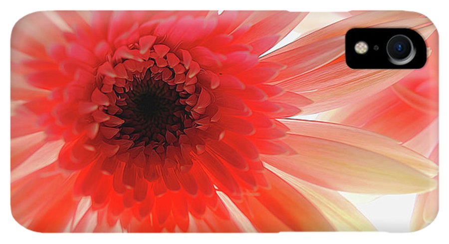 Pink Daisy On Light - Phone Case
