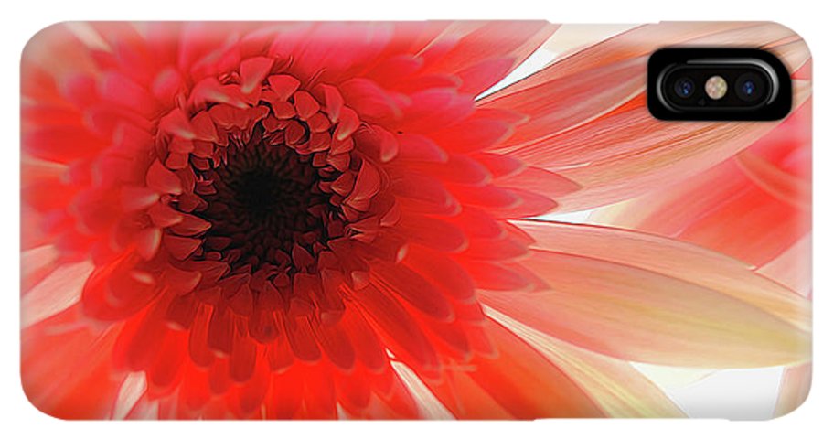 Pink Daisy On Light - Phone Case