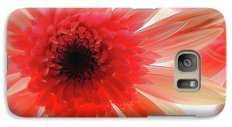 Pink Daisy On Light - Phone Case