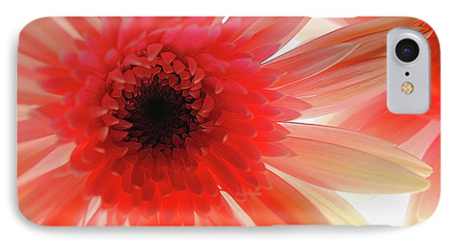 Pink Daisy On Light - Phone Case
