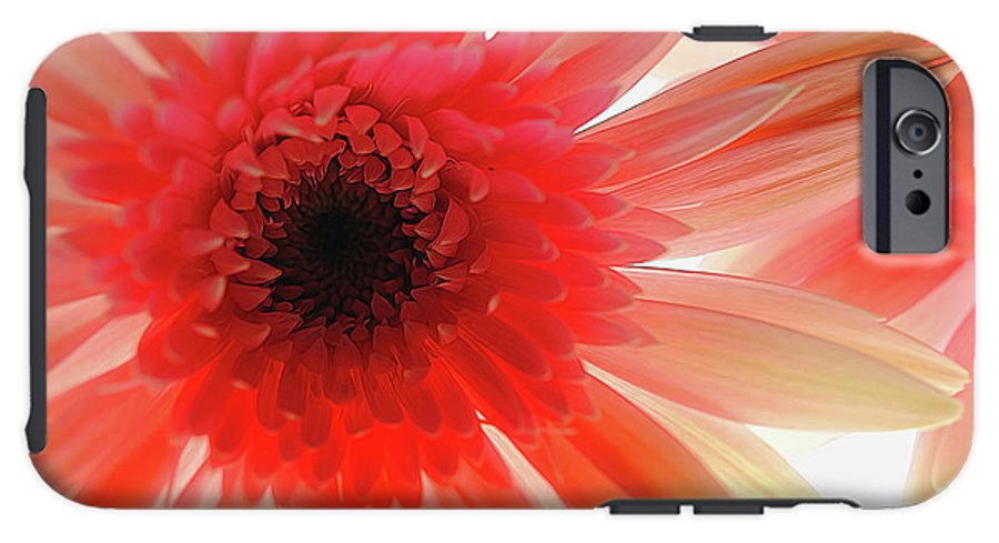 Pink Daisy On Light - Phone Case