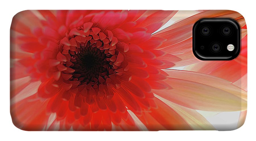 Pink Daisy On Light - Phone Case