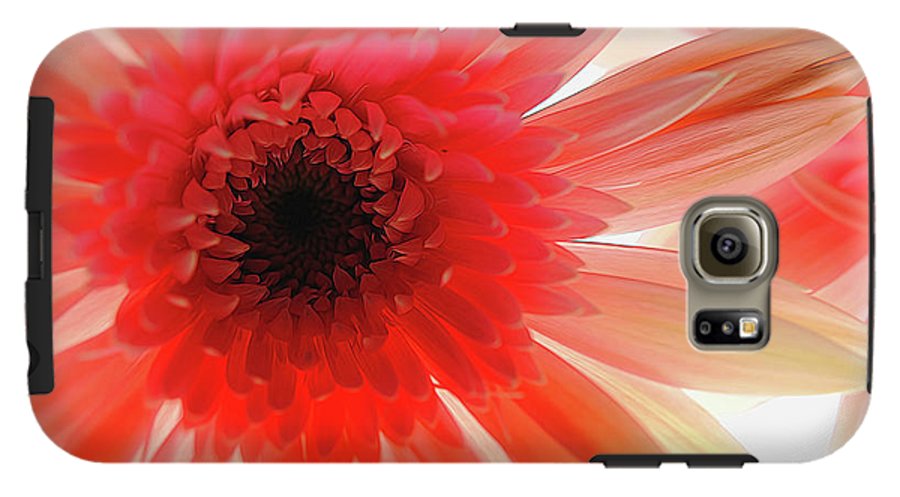 Pink Daisy On Light - Phone Case
