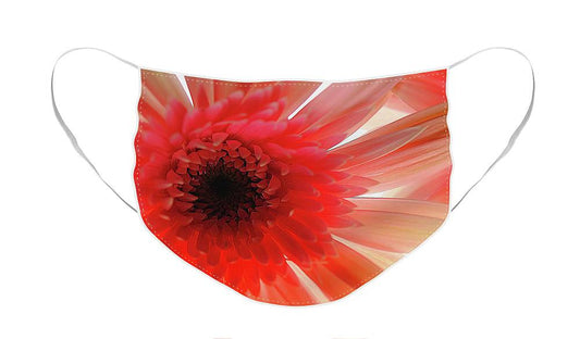Pink Daisy On Light - Face Mask
