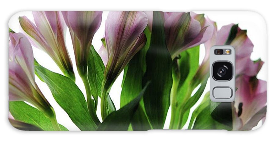 Pink Flowers Green Stems - Phone Case