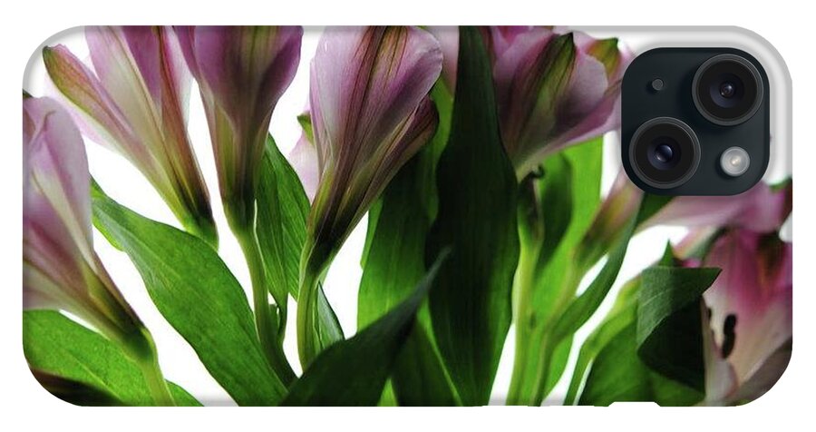 Pink Flowers Green Stems - Phone Case