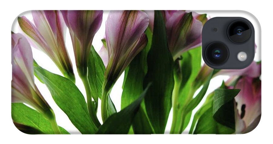 Pink Flowers Green Stems - Phone Case
