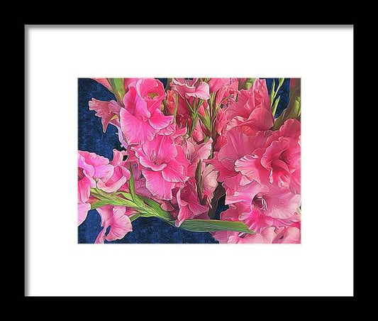 Pink Gladiolas - Framed Print