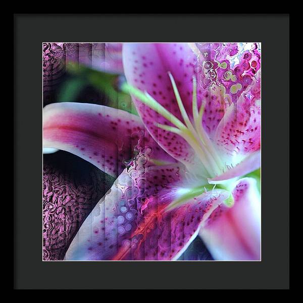 Pink Lily Abstract - Framed Print