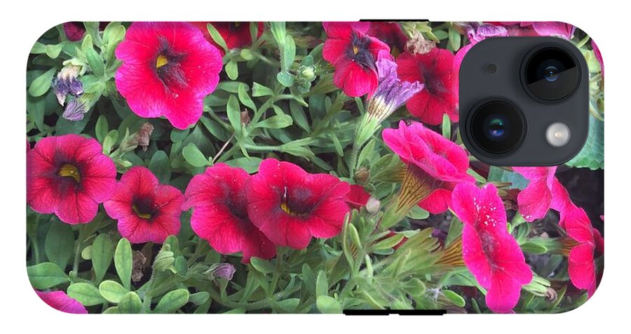 Pink Petunias - Phone Case