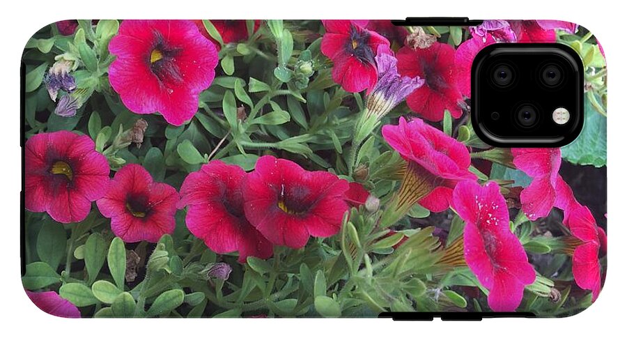Pink Petunias - Phone Case