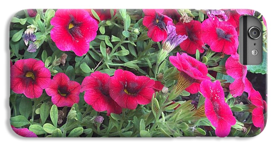 Pink Petunias - Phone Case