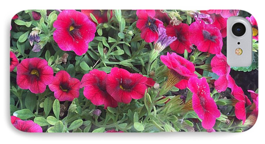 Pink Petunias - Phone Case