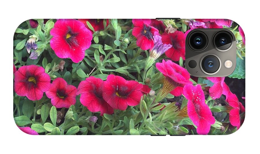 Pink Petunias - Phone Case